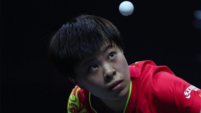 依靠两翼传 依靠两翼传