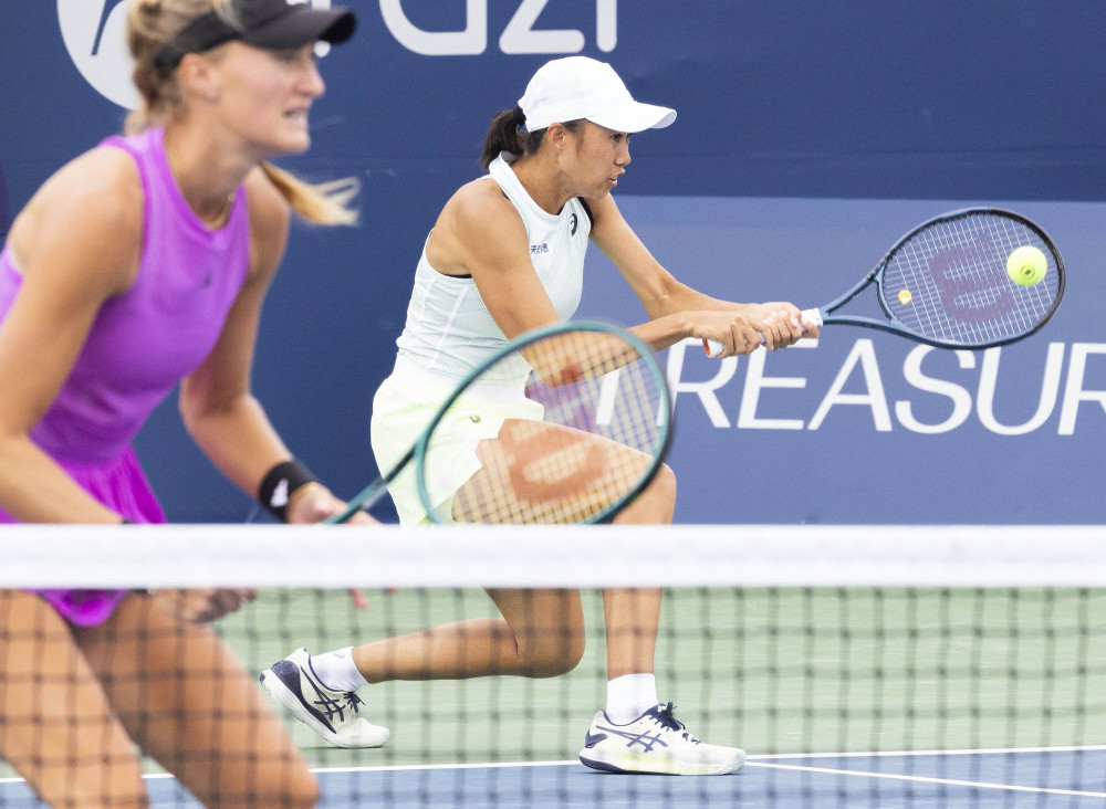 术多样性 术多样性